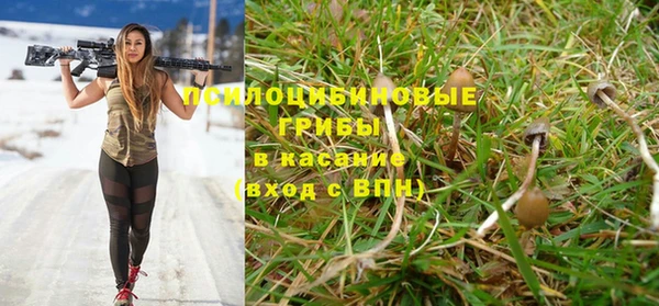 Альфа ПВП Пересвет