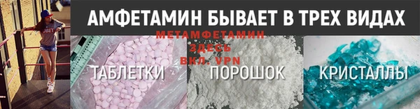 прущие грибы Осинники