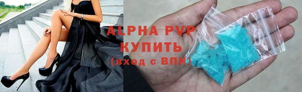 прущие грибы Осинники