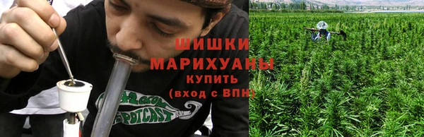 spice Осташков