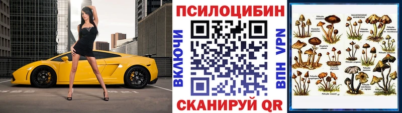 Галлюциногенные грибы Cubensis  Андреаполь 