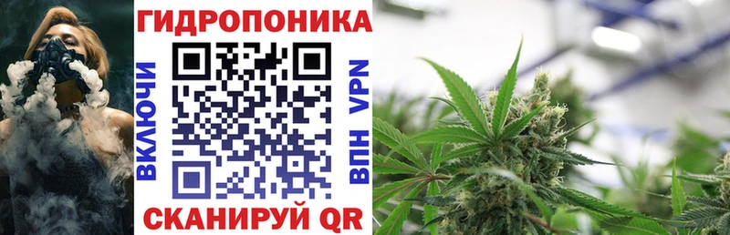 Канабис Bruce Banner  Андреаполь 